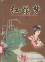 中国古典文化书系 红楼梦 上