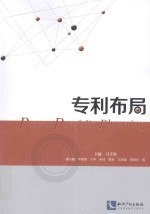 专利布局