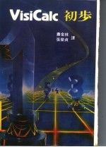 VisiCalc 初步