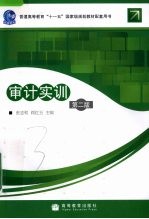 审计实训 第2版