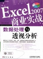 Excel 2007商业实战 数据处理与透视分析
