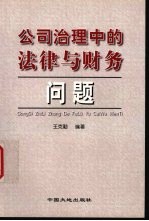公司治理中的法律与财务问题