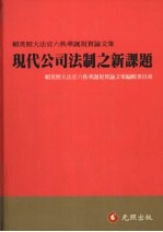 现代公司法制之新课题:赖英照大法官六秩华诞祝贺论文集