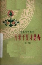 万紫千红才是春 花灯