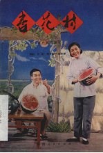 杏花村 眉户现代剧