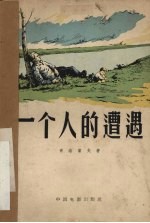 一个人的遭遇