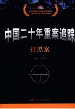 中国二十年重案追踪 打黑案