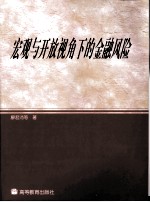 宏观与开放视角下的金融风险