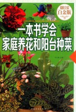 一本书学会家庭养花和阳台种菜 超值全彩白金版