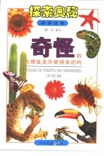 探索奥秘：拼音读物 奇怪的飞碟鱼是外星球来的吗