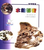 科学画谱 水的秘密