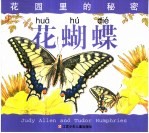 花园里的秘密 花蝴蝶