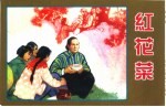 精品收藏本 红花菜