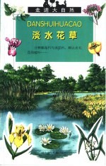 淡水花草