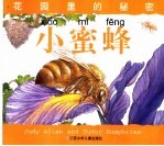 花园里的秘密 小蜜蜂