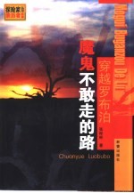 穿越罗布泊 魔鬼不敢走的路
