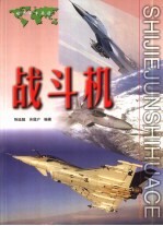 世界军事画册 战斗机