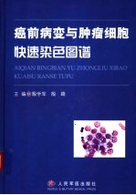 癌前病变与肿瘤细胞快速染色图谱