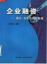 企业融资 理论、实务与风险管理