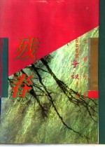 百年百部争议小说 残春 影图本