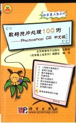 数码照片处理100例 Photoshop CS中文版