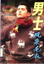 男士风采毛衣