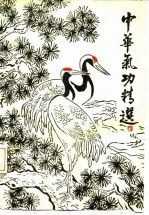 中华气功精选(二)