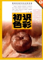 基础绘画色彩全程训练 初识色彩