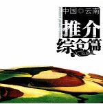中国·云南昭通市招商引资推介综合篇
