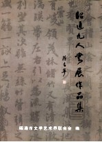 昭通九人书展作品集