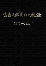 云南天然气化工厂志 1973-1986