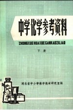 中学化学参考资料