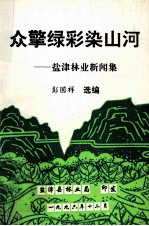 众擎绿彩染山河 盐津林业新闻集