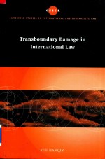 Transboundary Damage in International Law