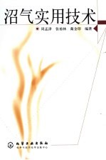 沼气实用技术