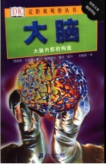 大脑 大脑内部的构造