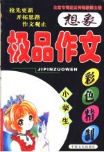 小学生极品作文 想象
