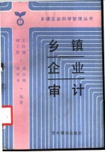 乡镇企业审计