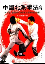 中国北派拳法入门 功力拳、孙膑拳、力劈拳的类型和技法