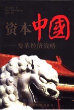 资本中国 变革经济战略