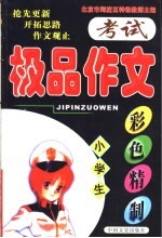 小学生极品作文 考试