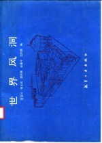 世界风洞