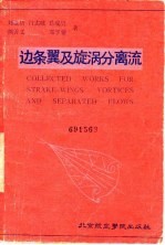 边条翼及旋涡分离流