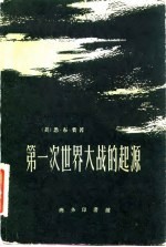 第一次世界大战的起源  下