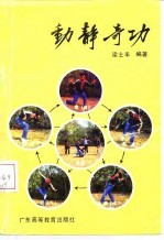 动静奇功