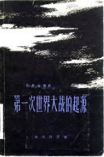 第一次世界大战的起源 上