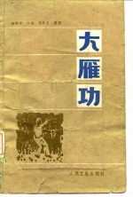 大雁功