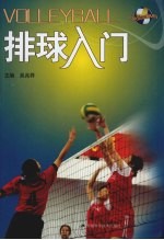 排球入门