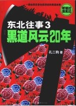 东北往事 3 一部由亲历者向您讲述的黑道故事
