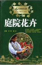 庭院花卉